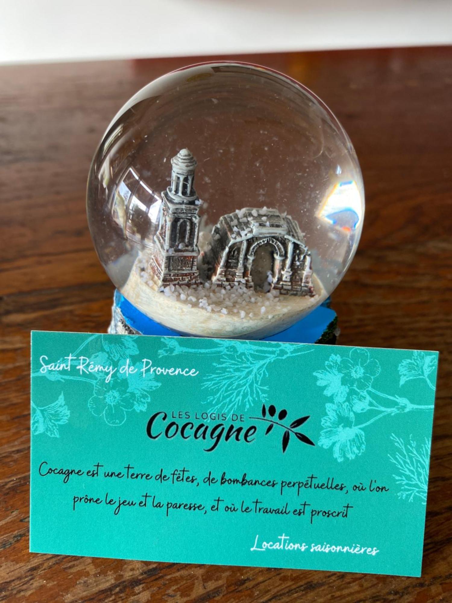 Les Logis De Cocagne Apartment แซ็งต์-เรมีย์-เดอ-โพรวองซ์ ภายนอก รูปภาพ