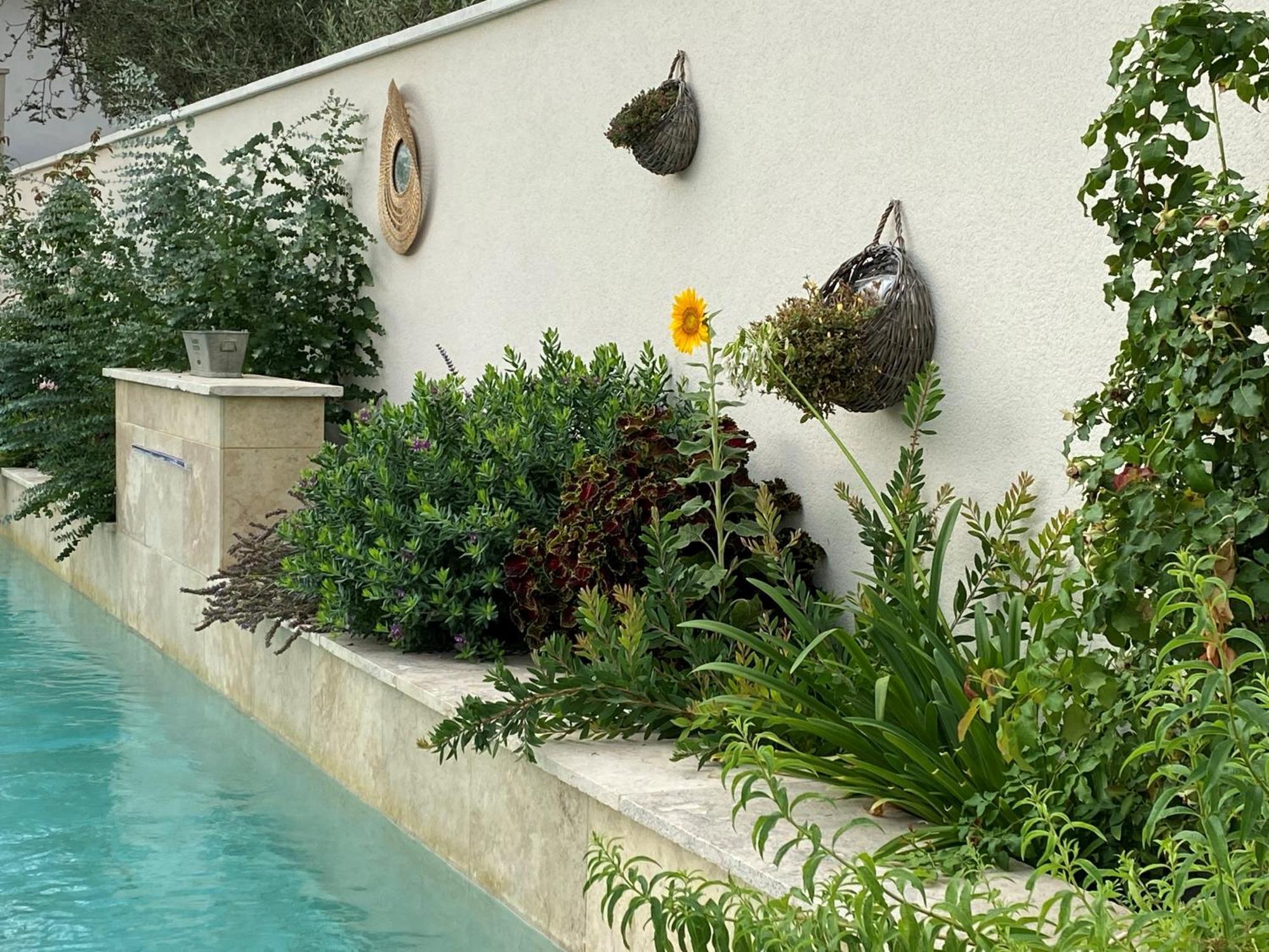 Les Logis De Cocagne Apartment แซ็งต์-เรมีย์-เดอ-โพรวองซ์ ภายนอก รูปภาพ